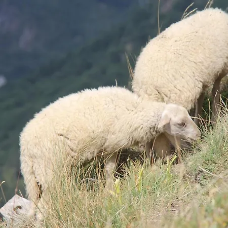 Résidence : Le Crystal Appartamento *