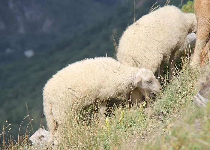 Résidence : Le Crystal Appartamento *