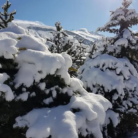 Résidence : Le Crystal Les Deux Alpes