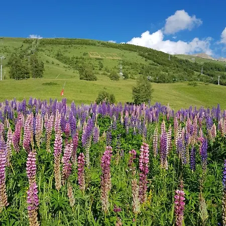 : Le Crystal Apartman