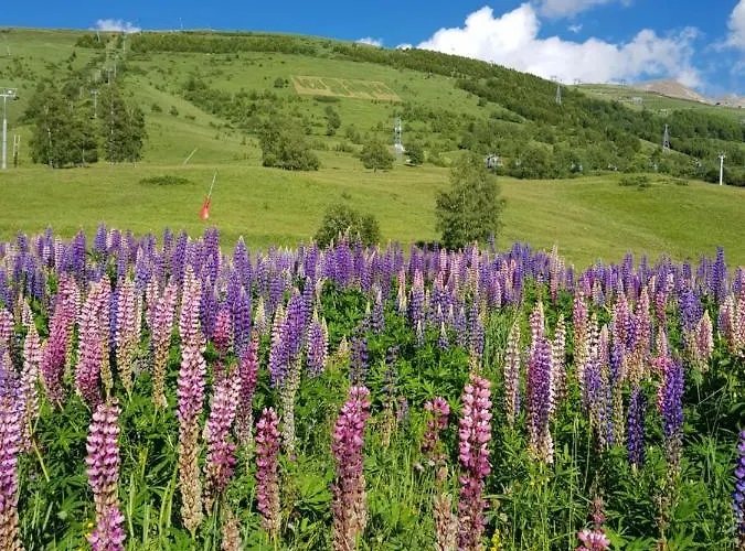 : Le Crystal Apartament